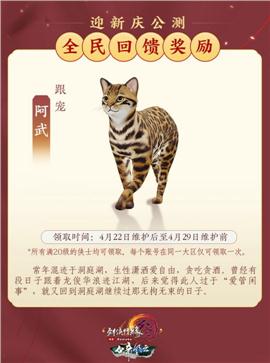 天龙八部私服隐藏装备